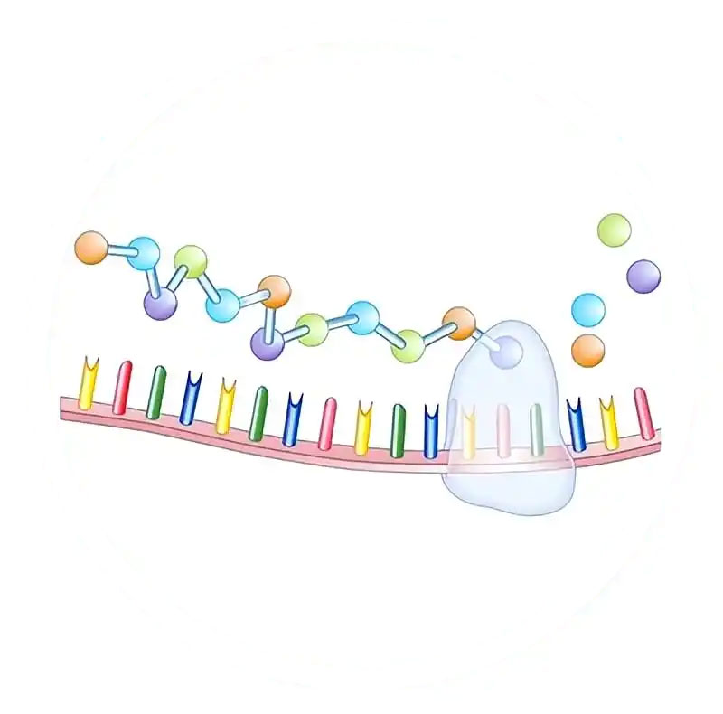 分子生物