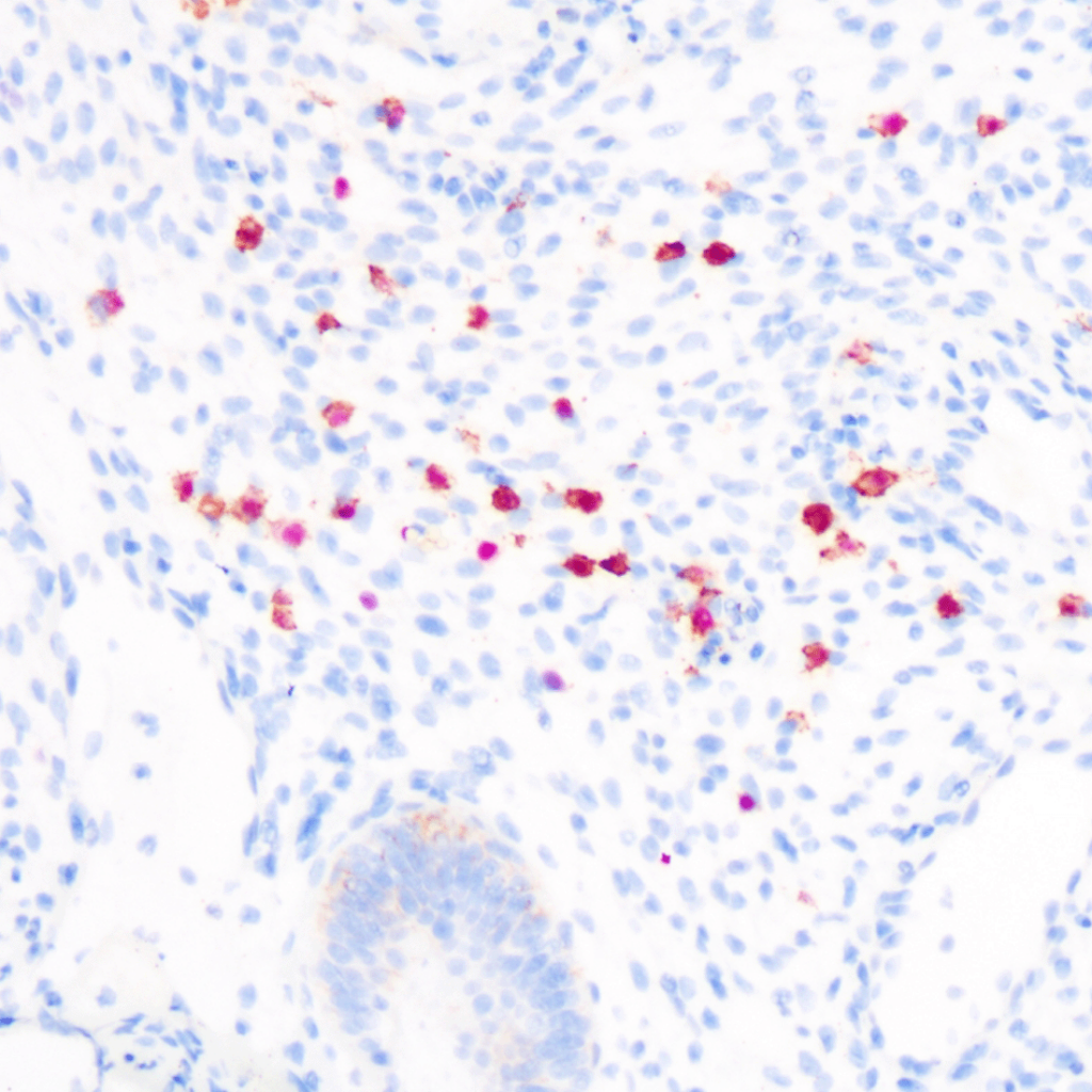赛诺特生物科研代理 赛诺特生物科研代理