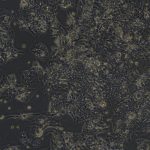 HepG2（人肝癌细胞）(STR鉴定正确)