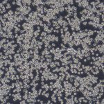 BV2(小鼠小胶质细胞)