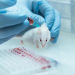 Mouse-on-Mouse polymer免疫组化试剂盒