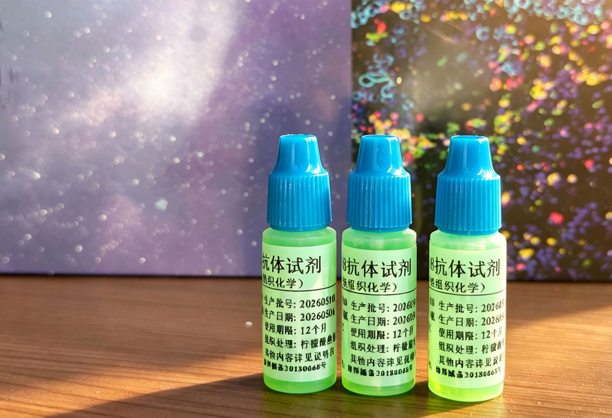 赛诺特即用型病理抗体