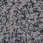 BV2(小鼠小胶质细胞)