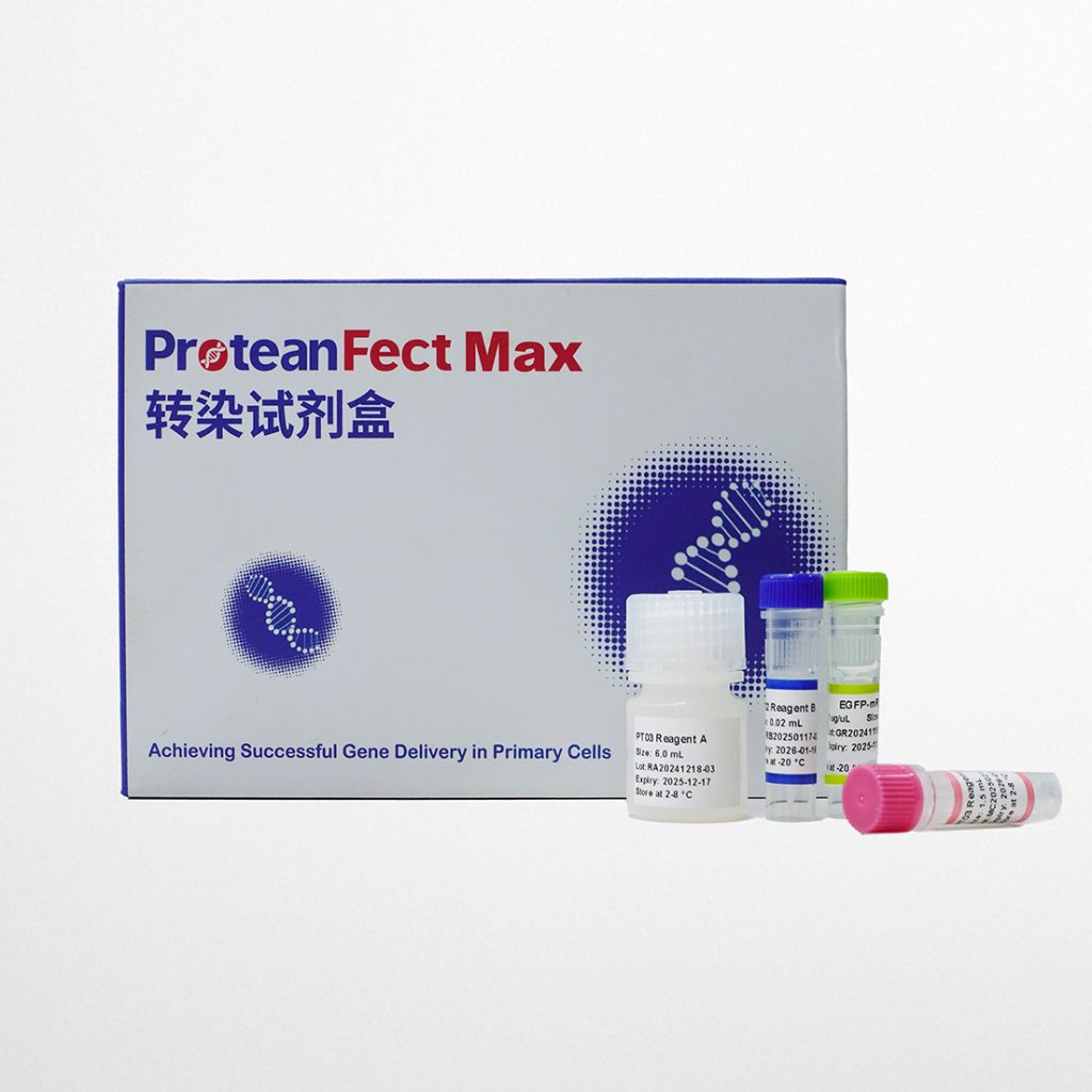 ProteanFect™ Max 小鼠原代免疫细胞转染试剂盒-PT03 ProteanFect™ Max 小鼠原代免疫细胞转染试剂盒-PT03