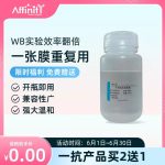 WB抗体剥离液（膜再生液）