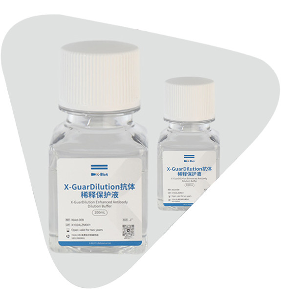 Xblot-009稀释液