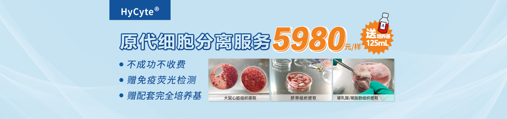 海星生物（images 5）