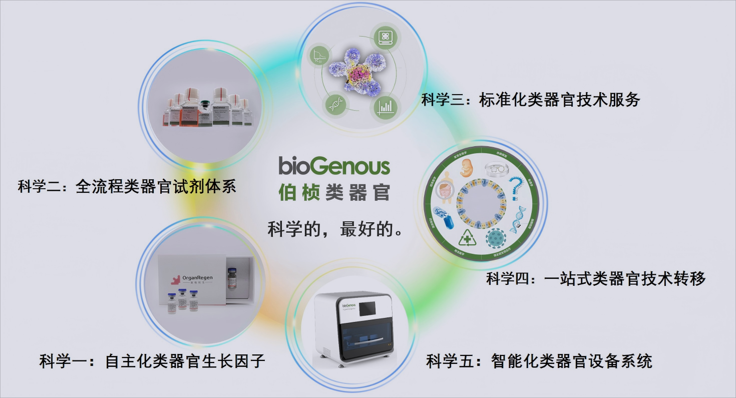 类器官系统平台建设