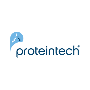 武汉三鹰（Proteintech）