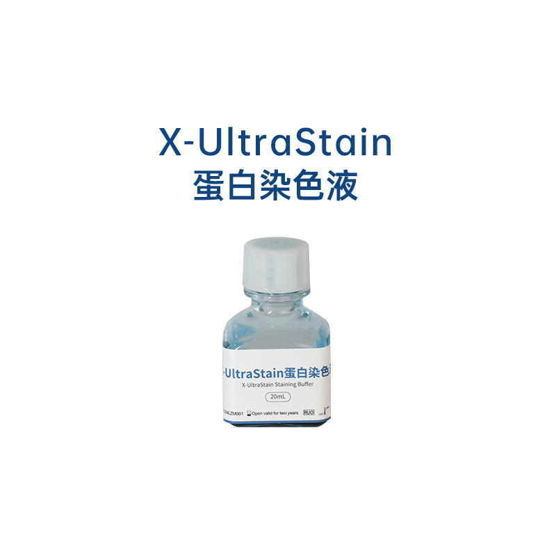 X-UltraStain蛋白染色液 X-UltraStain蛋白染色液