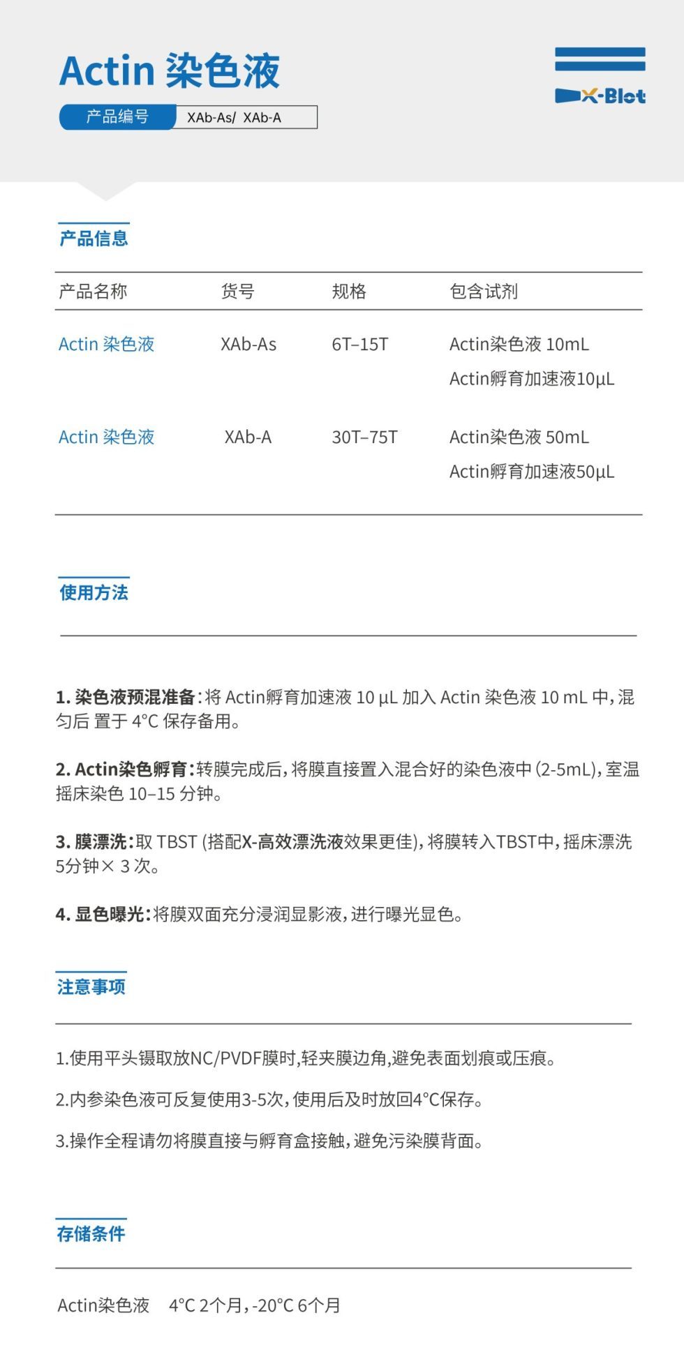 XAb-A极速内参actin染色液