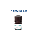 X-GAPDH FlashStain Kit 极速内参一步法显色试剂盒