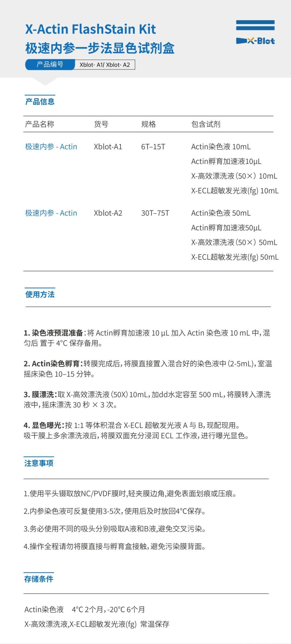X-Actin FlashStain Kit 极速内参一步法显色试剂盒
