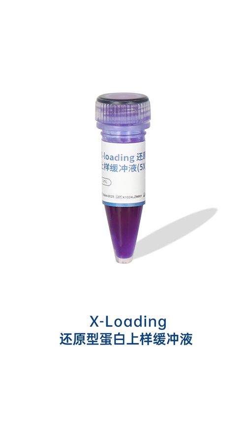 Xloading