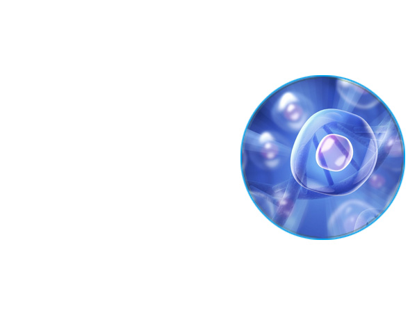 哺乳动物细胞
表达系统