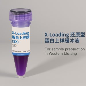 X-Loading 还原型蛋白上样缓冲液 | Xblot-0025