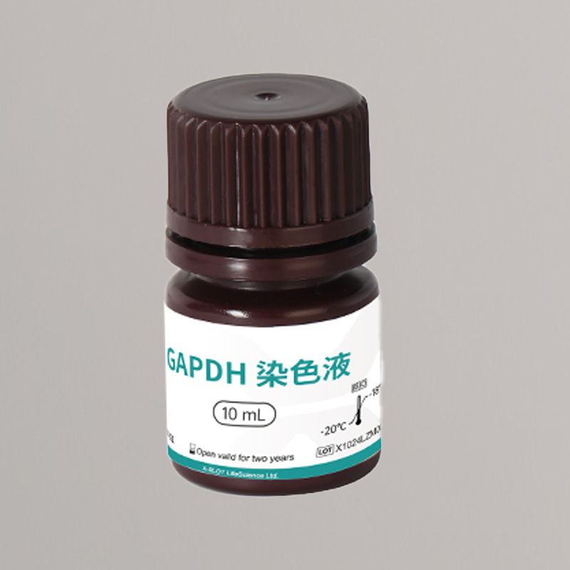 GAPDH极速内参染色液