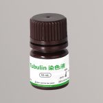 Tubulin极速内参染色液