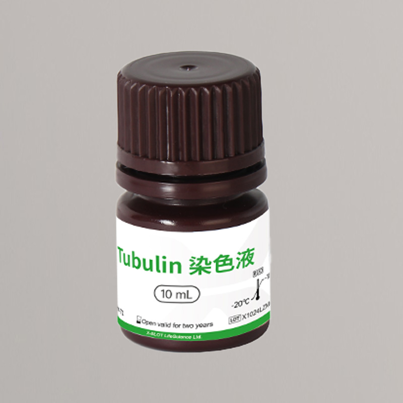 Tubulin极速内参染色液 Tubulin极速内参染色液