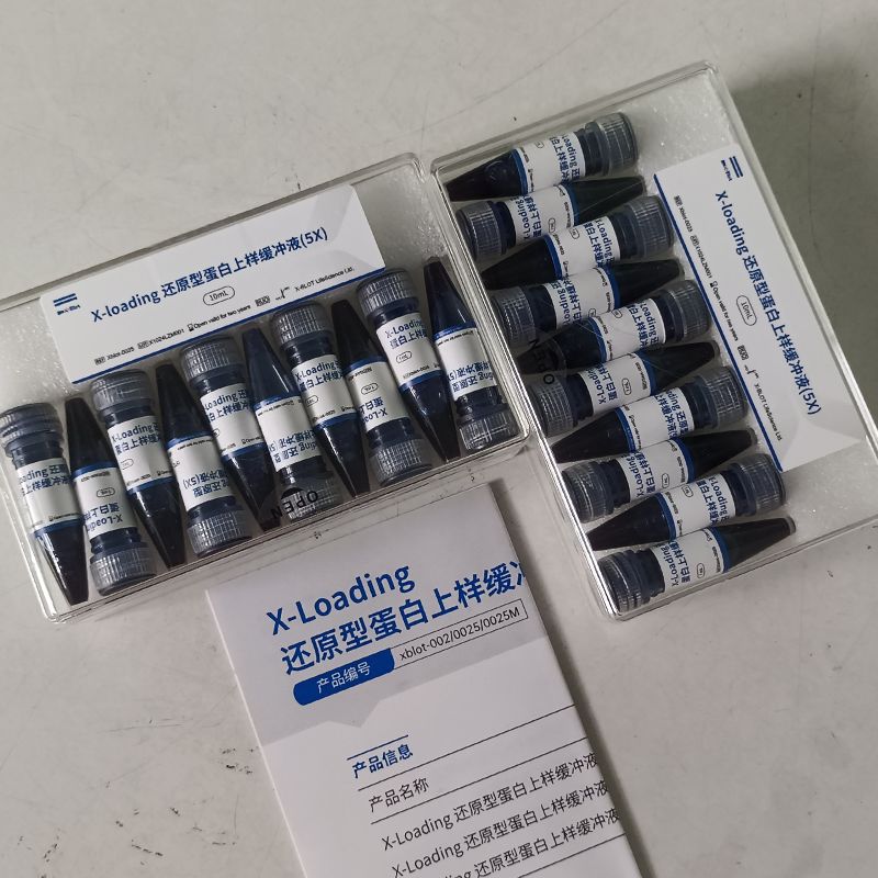 X-Loading 还原型蛋白上样缓冲液