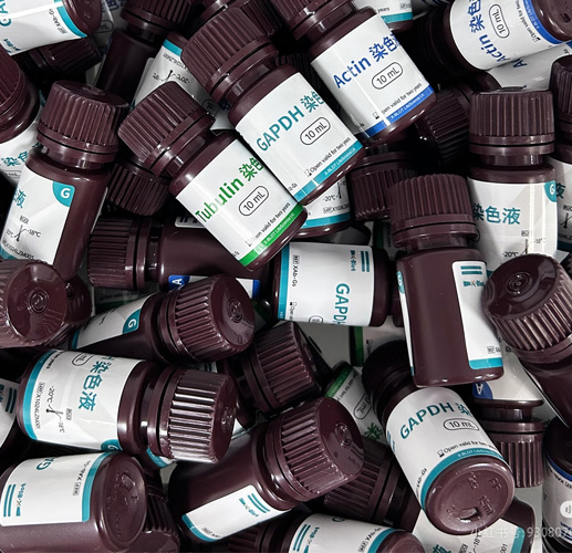 艾克生命极速内参