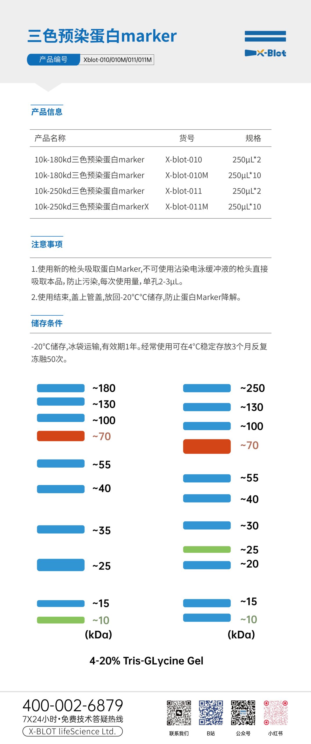 艾克生命10k-180kd三色预染蛋白marker