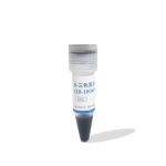 10k-180kd三色预染蛋白marker