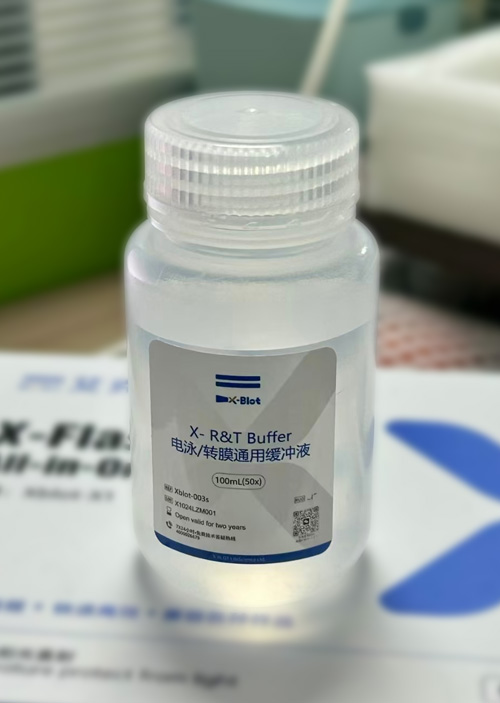 电泳/转膜通用缓冲液