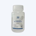 X- R&T Buffer电泳/转膜通用缓冲液