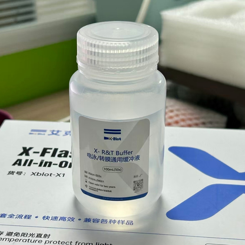 X- R&T Buffer电泳/转膜通用缓冲液