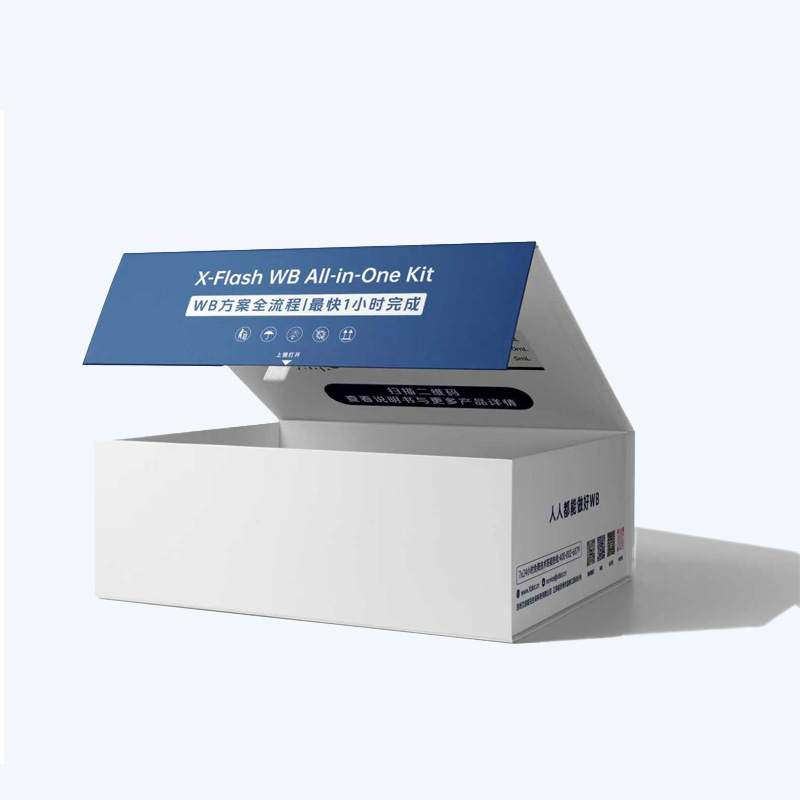 4小时目标蛋白检测试剂盒 4小时目标蛋白检测试剂盒