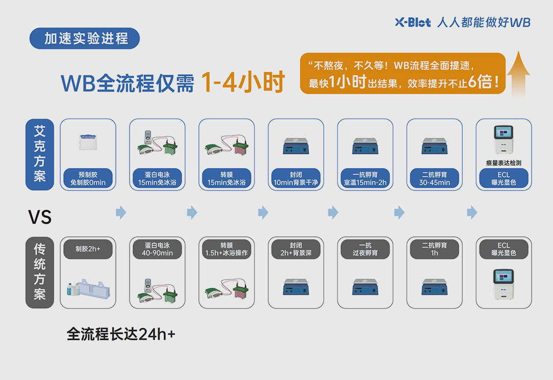 4小时目标蛋白检测试剂盒