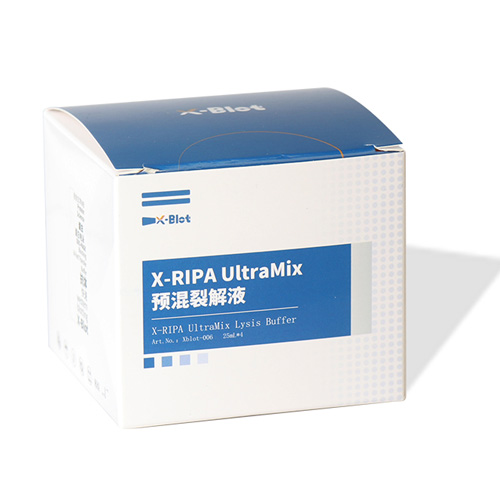 X-RIPA UltraMix预混裂解液