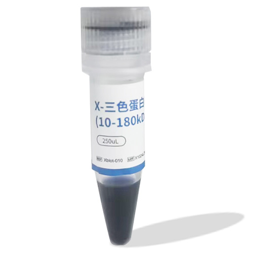 10k-180kd三色预染蛋白marker