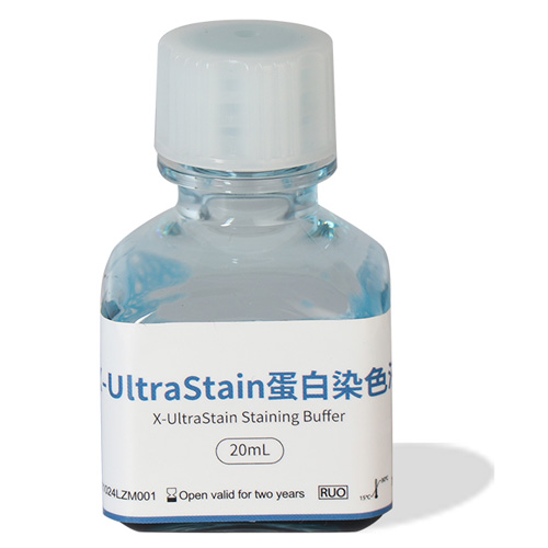 X-UltraStain蛋白染色液