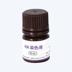 HA标签蛋白染色液