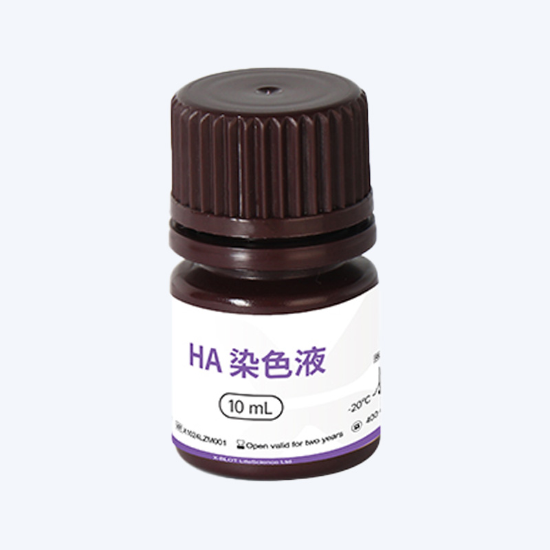 HA标签蛋白染色液