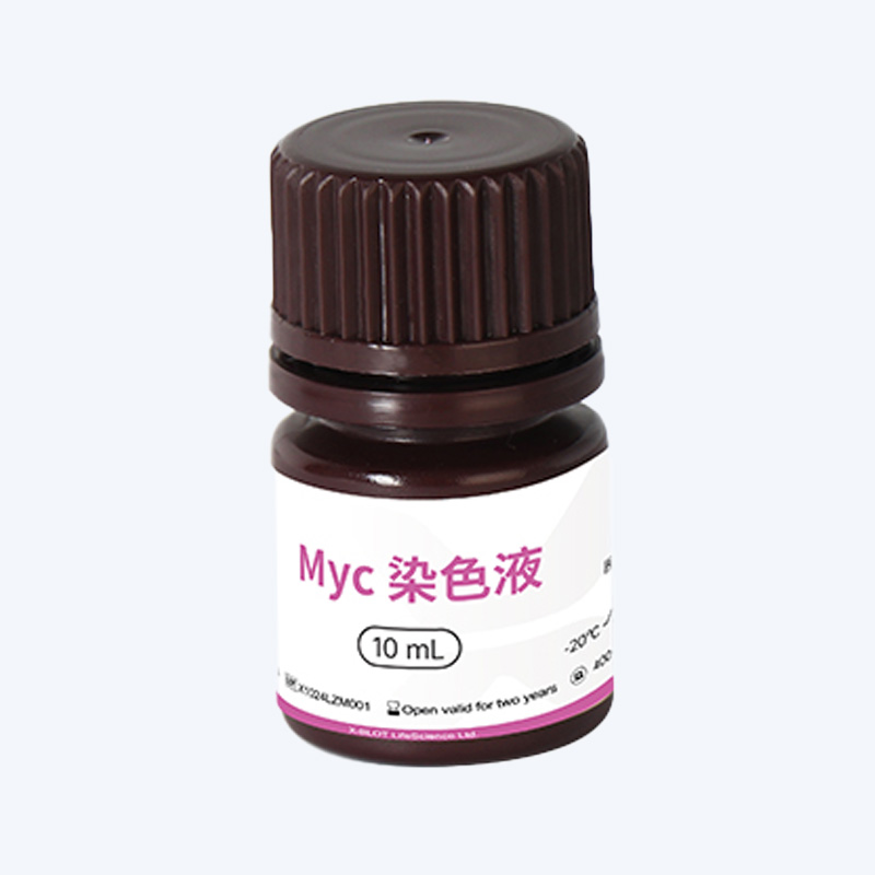 Myc标签蛋白染色液