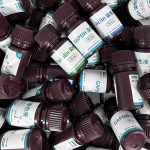 一步法内参染色液/试剂盒