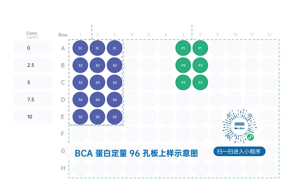 X-BCA 快速蛋白定量试剂盒