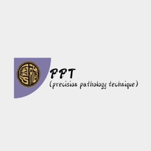 PPT（粤斌）