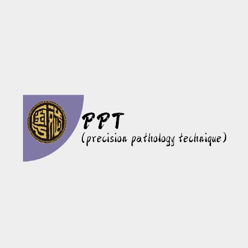 PPT(粤斌) PPT(粤斌)