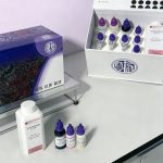 多重荧光试剂盒A六标七色