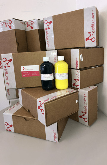 Vascupaint-MediLumine-1