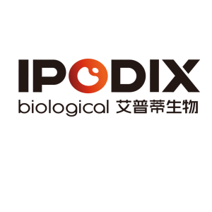 艾普蒂 IPODIX