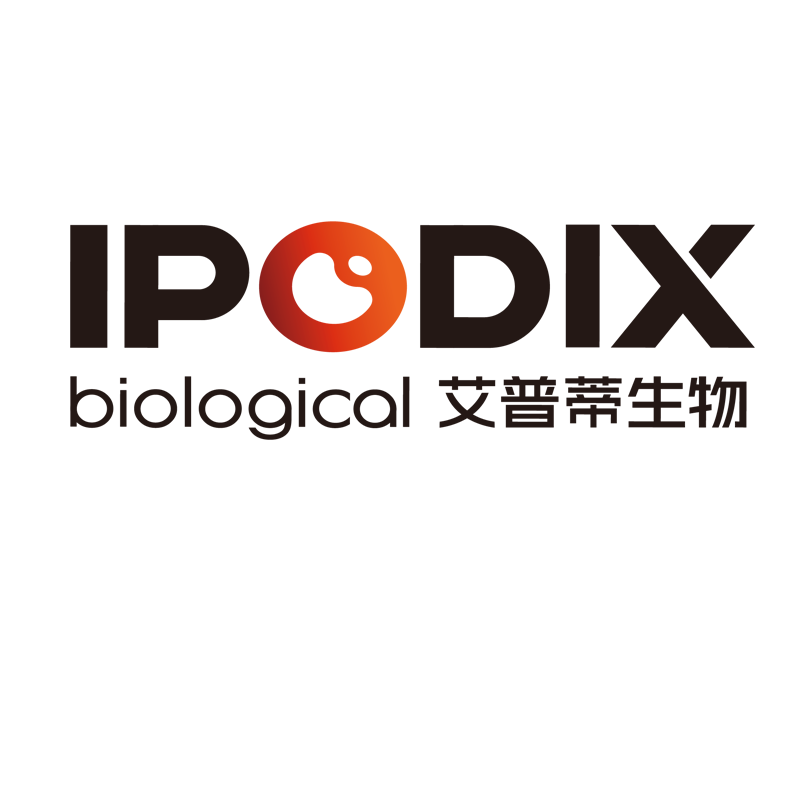 艾普蒂 IPODIX 艾普蒂 IPODIX
