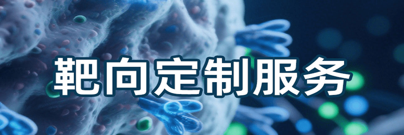 靶向定制服务