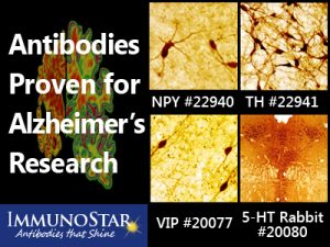 阿尔茨海默病研究抗体-Immunostar 国内现货