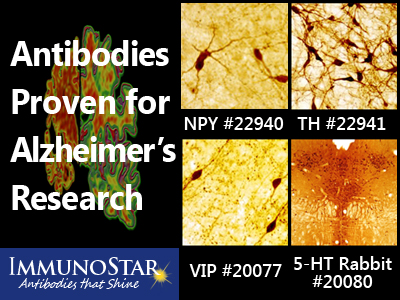 阿尔茨海默病研究抗体-Immunostar 国内现货 阿尔茨海默病研究抗体-Immunostar 国内现货