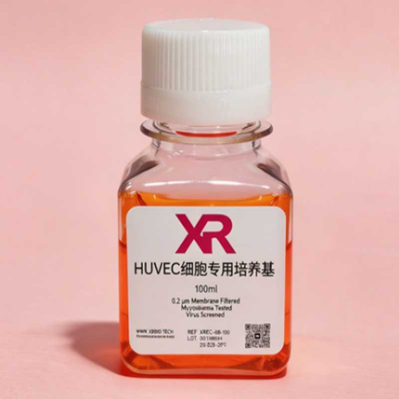 永生化HUVEC细胞完全培养基 永生化HUVEC细胞完全培养基